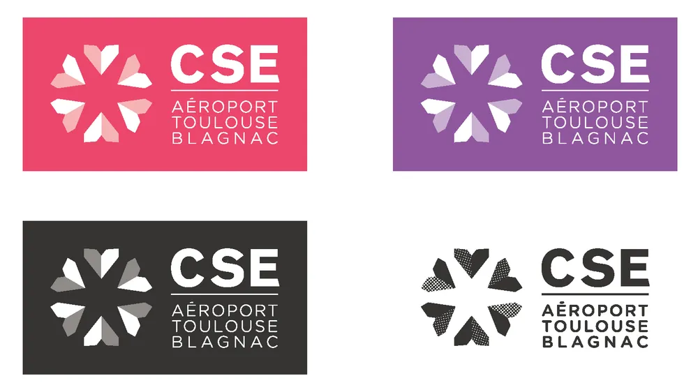 Planche de déclinaisons couleur du logo du CSE, 1