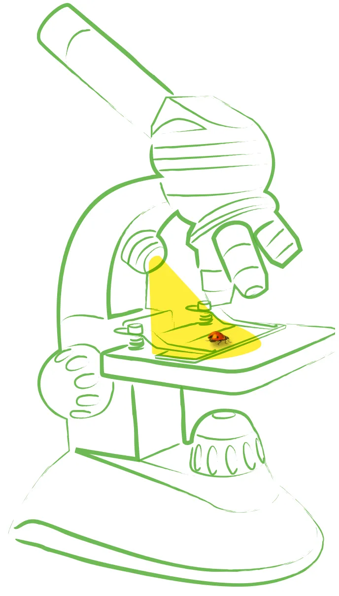 Illustration microscope création graphisme